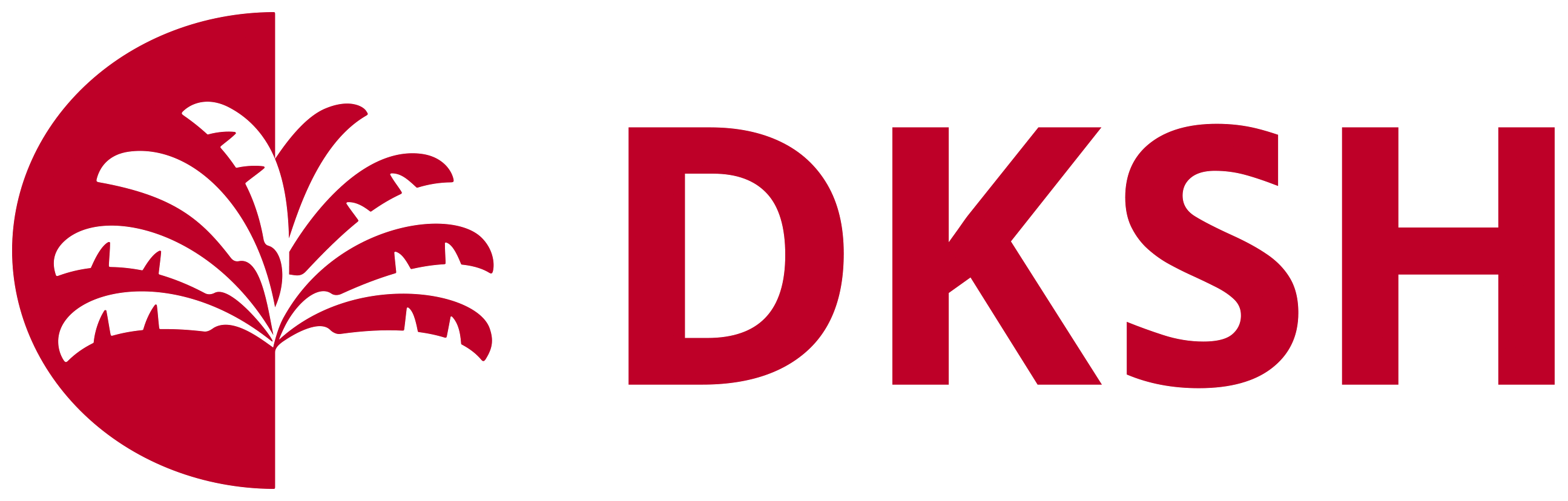 DKSH_hori_red_rgb